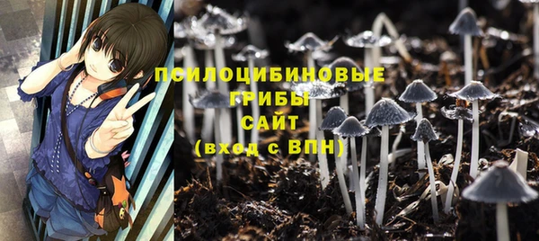 бутират Горняк
