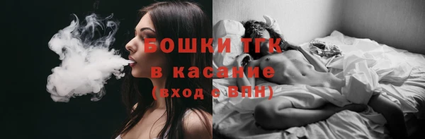 амф Горнозаводск